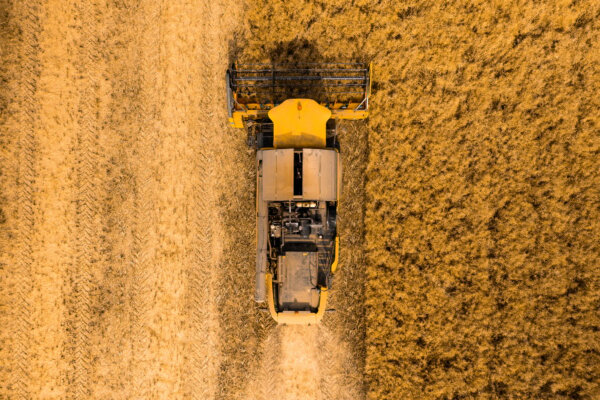 top-view-of-a-combine-harvester-harvesting-wheat-from-a-field