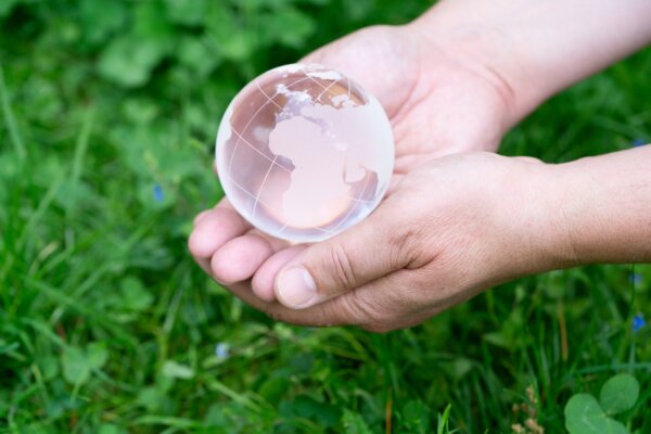 ecology-concept