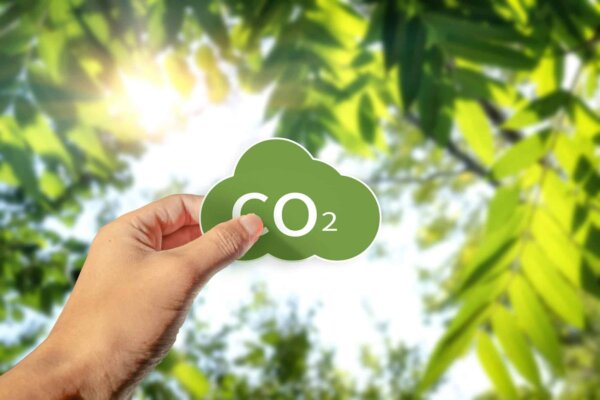 green-co2-sign-in-a-hand-on-blurred-green-leaves-background-1