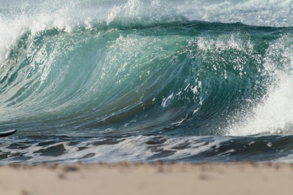 shore-break-wave-wave-crashing-in-the-ocean