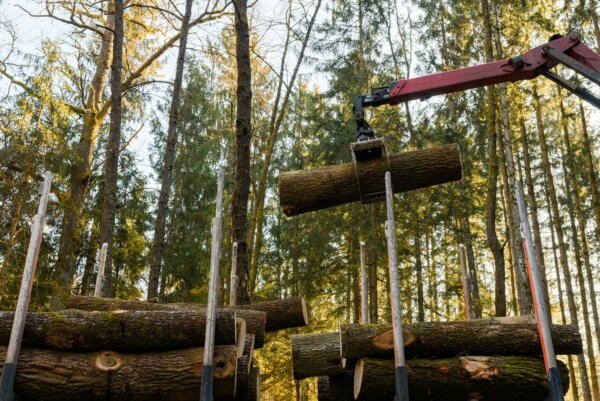 crane-in-forest-loading-logs-in-the-truck-timber-harvesting-and-transportation-in-forest