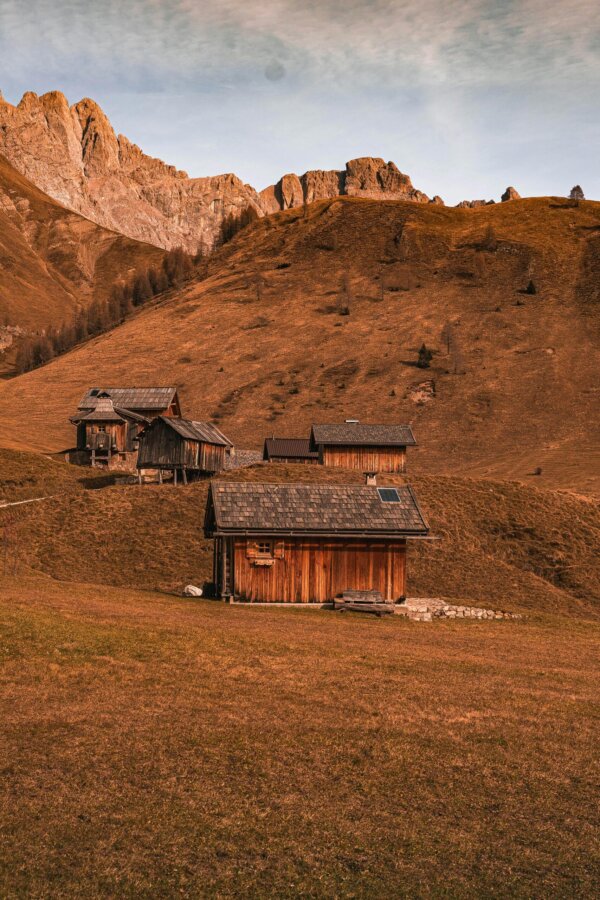 lodges-scaled-1
