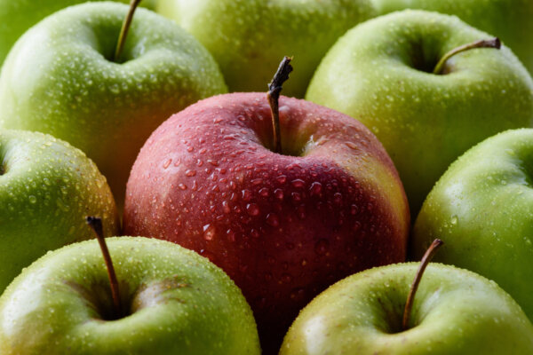 full-frame-of-water-drops-on-green-and-red-apples-2026-01-06-00-04-30-utc-2048×1367-1