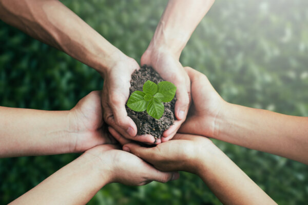 teamwork-and-cooperation-to-conserve-the-green-bus-2026-01-09-07-24-01-utc-2048×1365-1