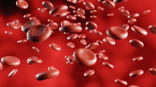blood-cells-moving-flow-hemoglobin-cells-in-vein-2026-03-11-00-56-06-utc-2048×1152-1