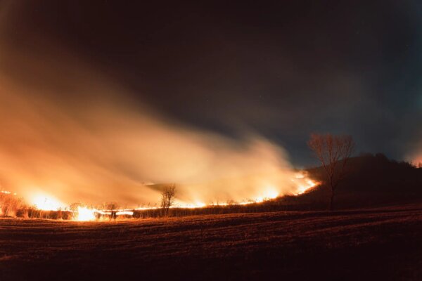 view-of-wildfire-in-a-field-in-the-evening