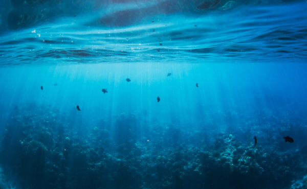 underwater-scene-of-coral-and-sunlight-beams-2026-03-09-06-04-39-utc-2048×1264-1