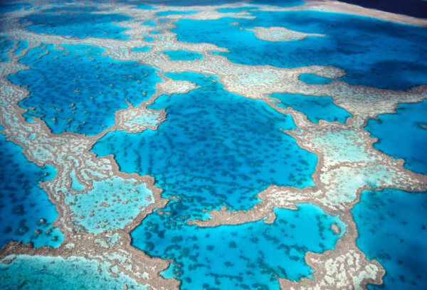 high-angle-view-of-turquoise-great-barrier-reef-in-2026-09-24-13-12-40-utc-2048×1392-1