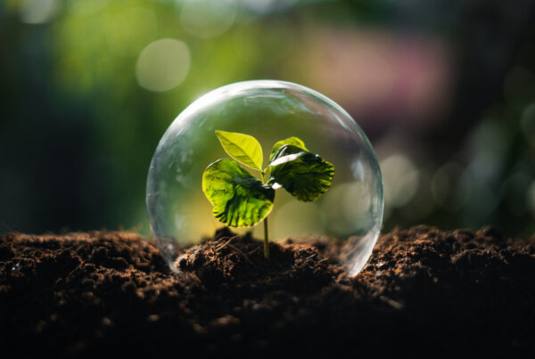 new-life-budding-in-a-dome-of-protection-2026-09-22-03-16-26-utc-2048×1374-1